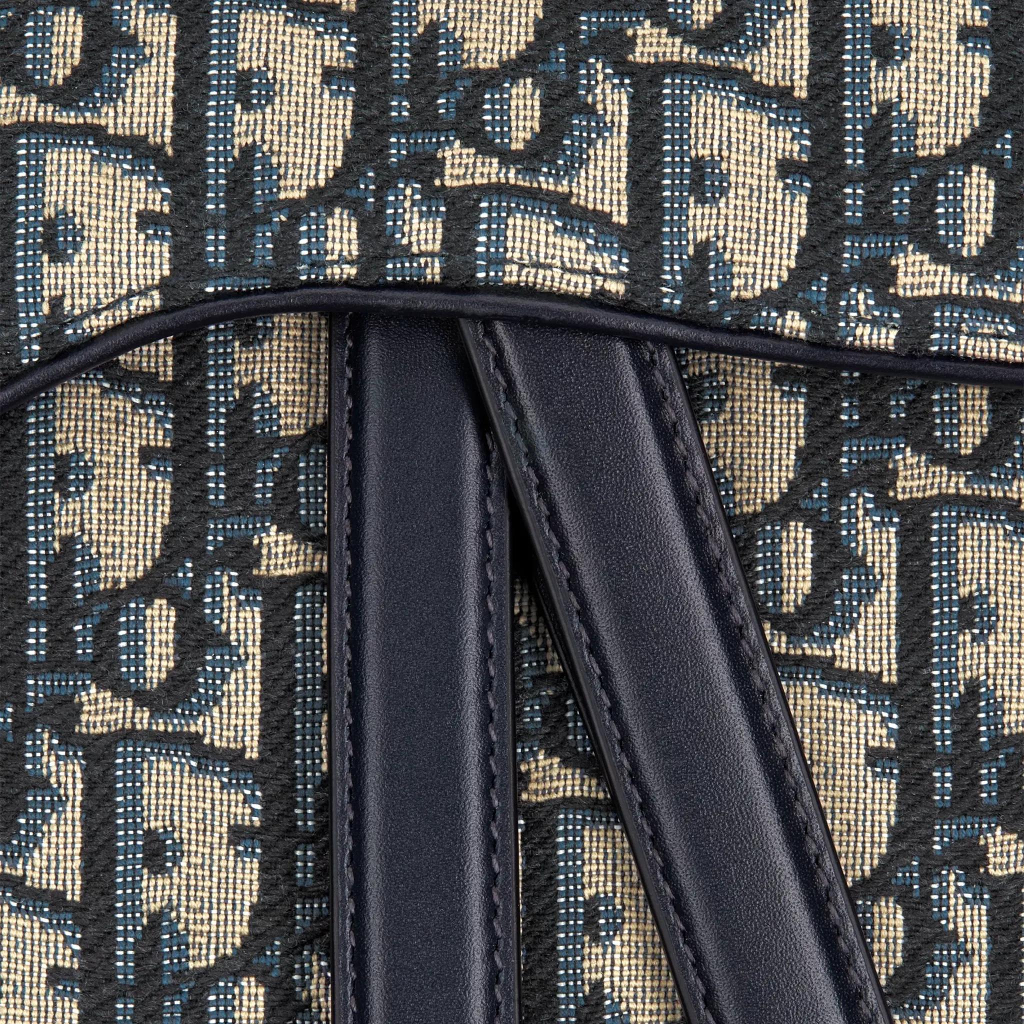 Detailed View of Dior Oblique Jacquard Saddle Beige Bag With Strap M0455CTZQ_M928